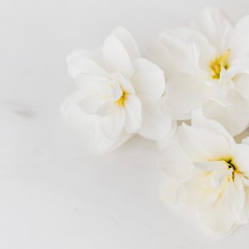 Mother’s Day home decor gift ideas 2022