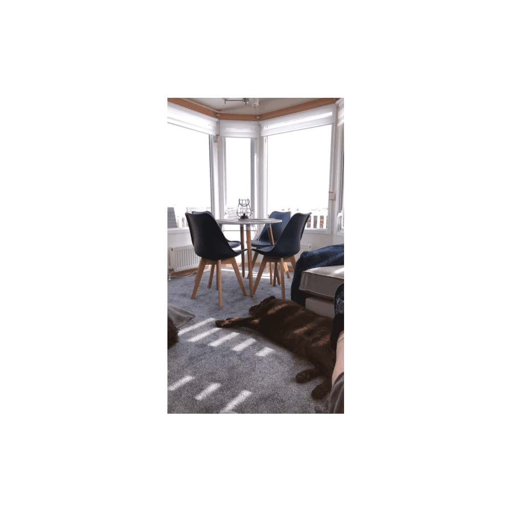 Jamie Halo Round Dining Table Set with 4 Chairs